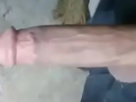 亚裔大鸡巴!! chinese daddy little one gay porn